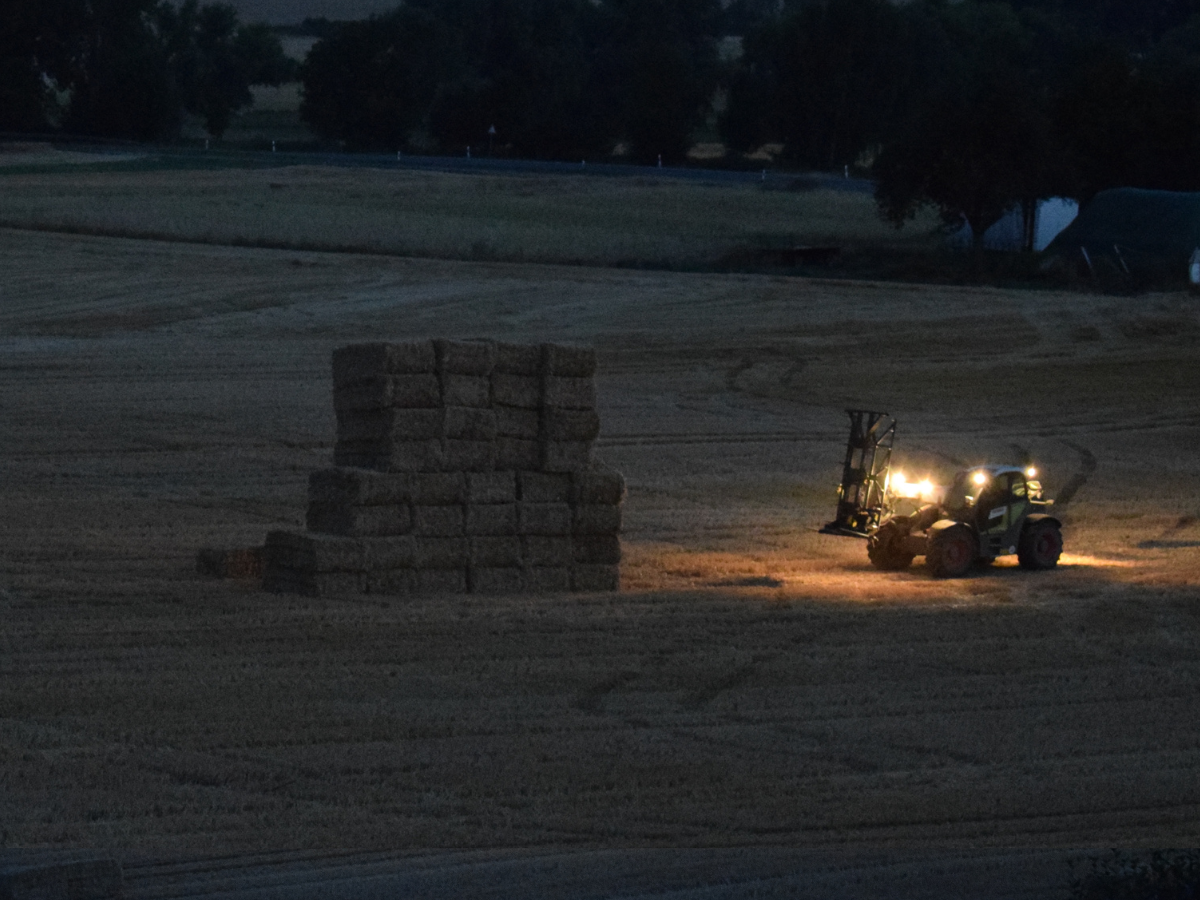 Bat na „miastowych”? Koniec z mandatami za nocne żniwa i uciążliwe sąsiedztwo
