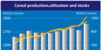 ceny zbóż - FAO bilans