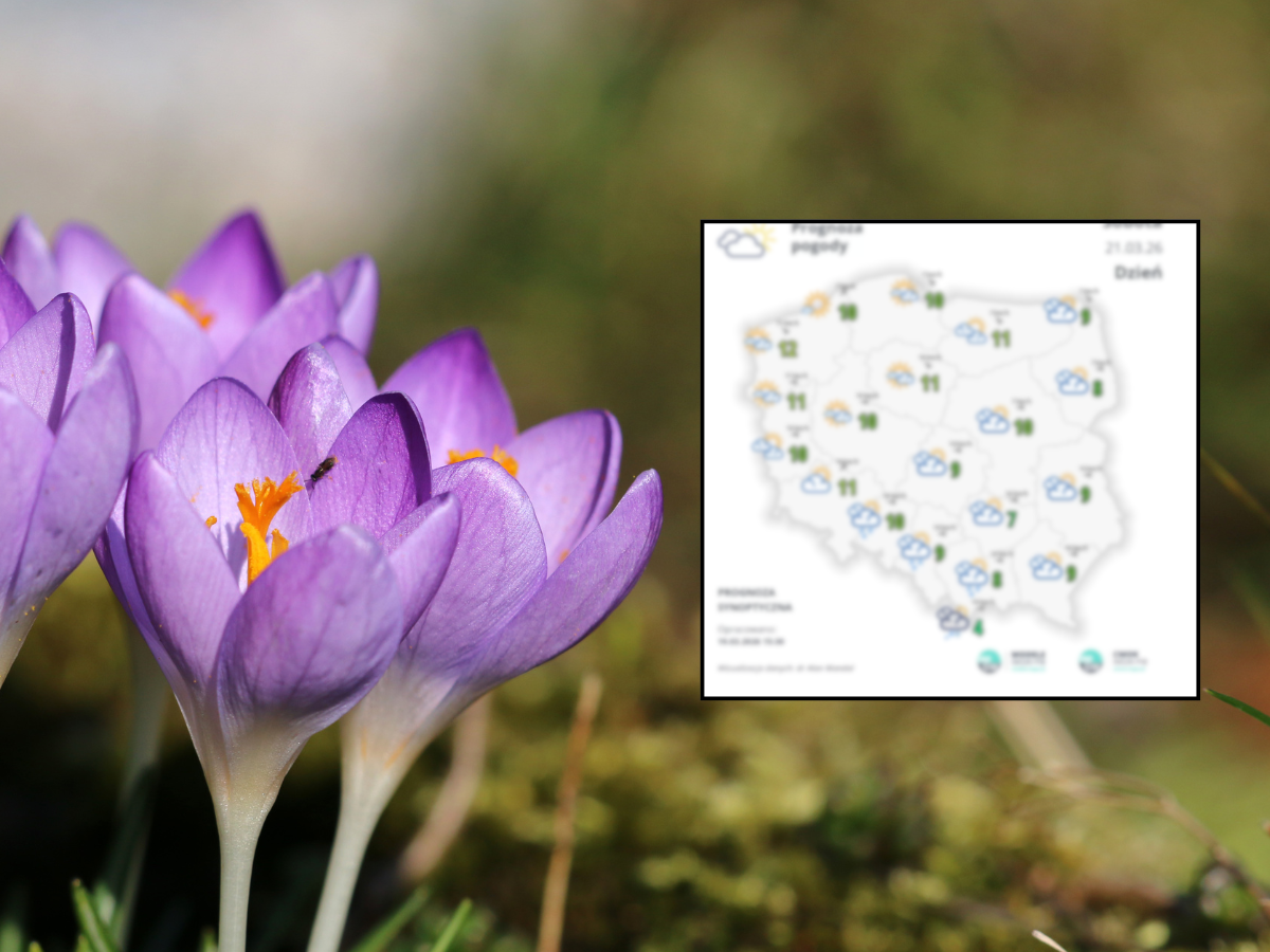 Pierwszy dzień wiosny 2026: Kapryśna aura i powrót zimy w górach. Zobacz prognozę!