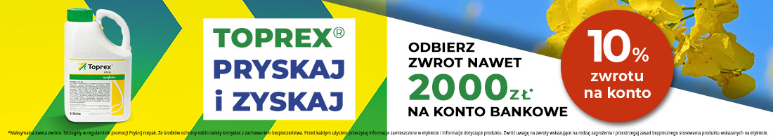 Strona główna 4 spot_img