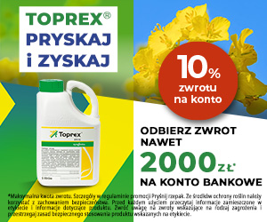 Strona główna 5 spot_img