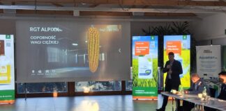 Rynek nasion - Robert Jakielaszek