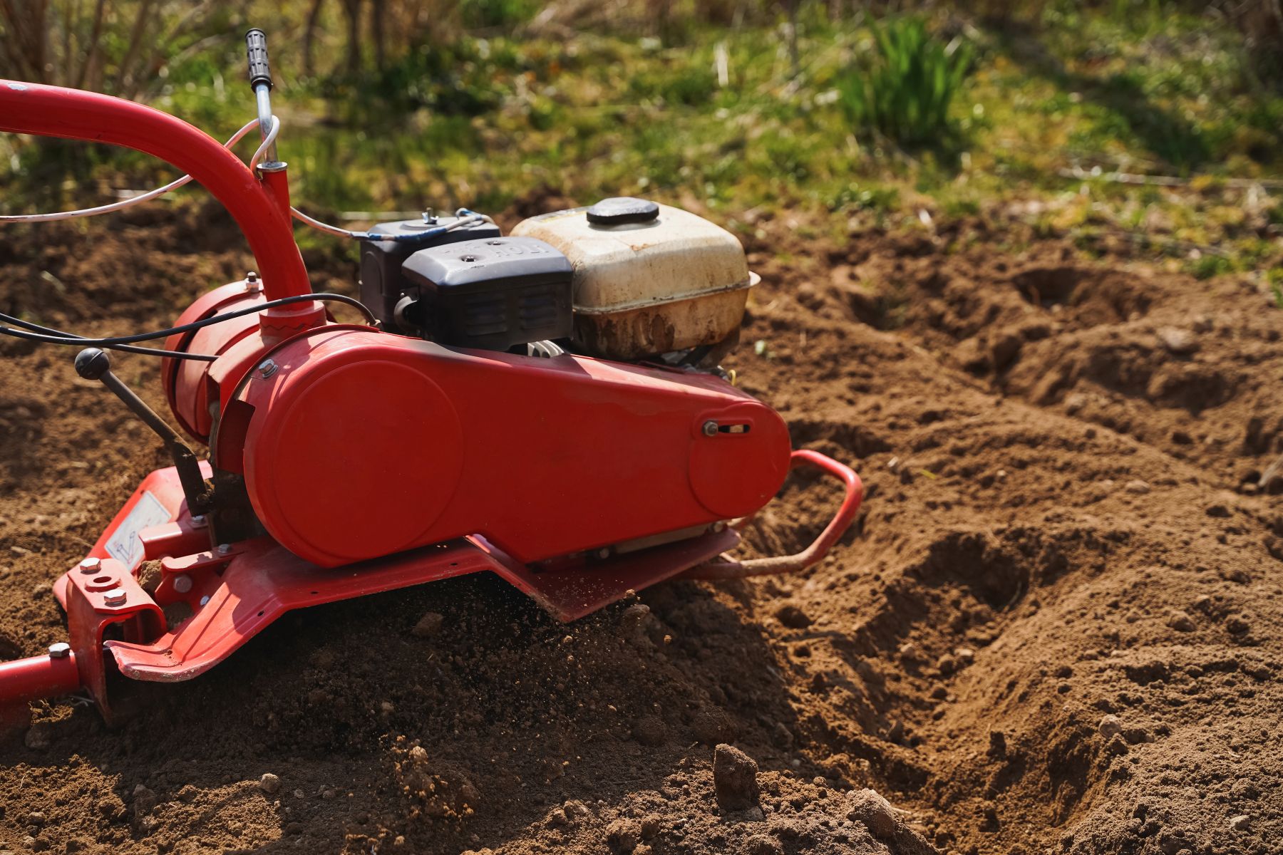 Zakładanie warzywnika od zera. Jak gwałtownie spulchnić ziemię glebogryzarką spalinową?