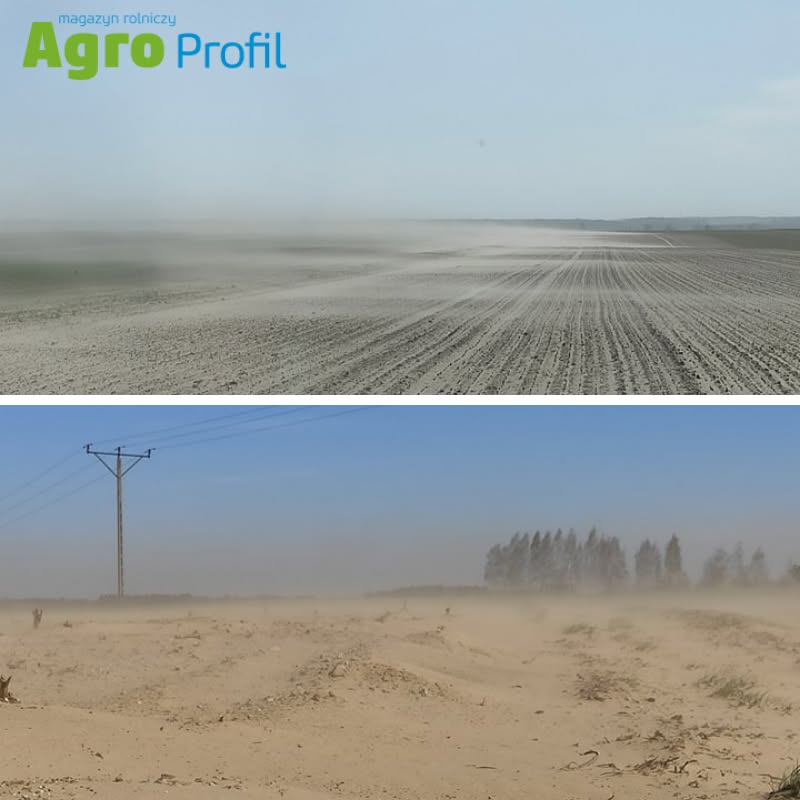 Susza 2026- analiza sytuacji w Europie, USA i na świecie