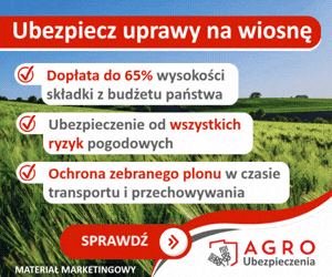 Strona główna 2 spot_img