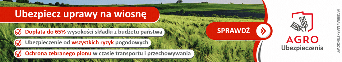 Strona główna 1 spot_img