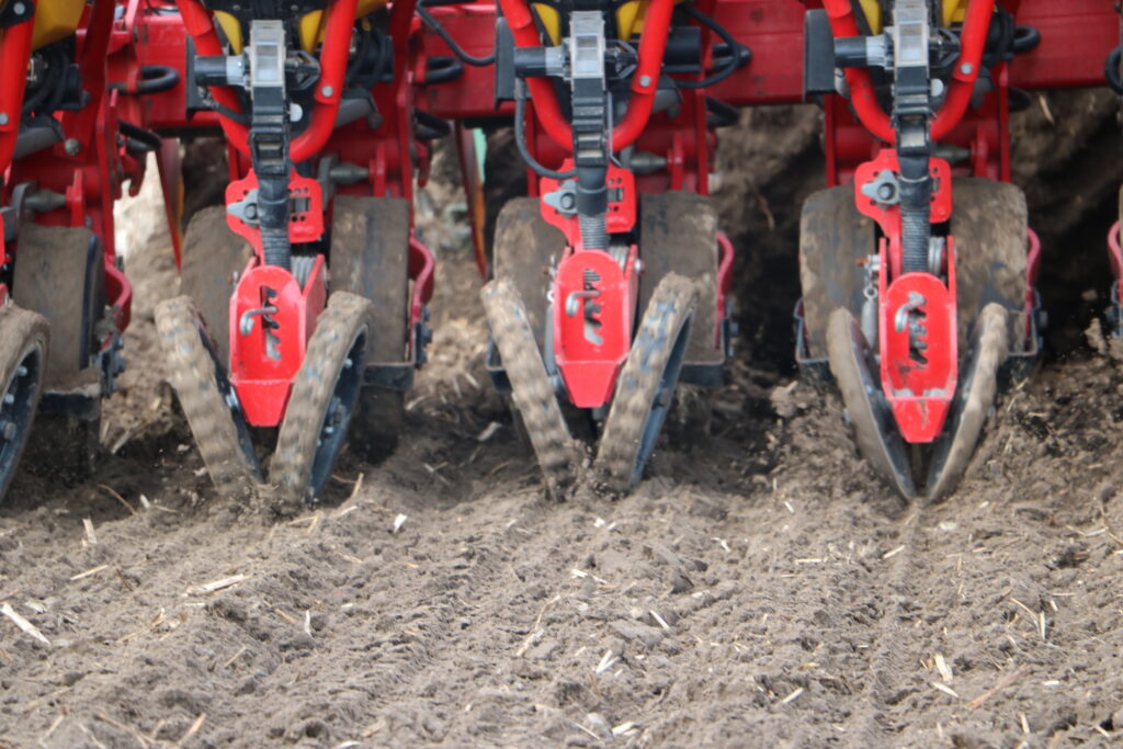 Burak cukrowy – jak zmieniały się technologie siewu?