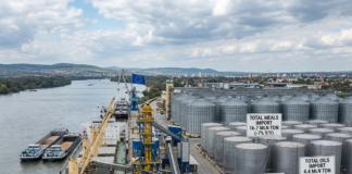 Infografika przedstawiająca terminal portowy z danymi o imporcie nasion oleistych do UE: spadek o 10% całkowitego wolumenu i wzrost importu śruty rzepakowej o 142%.