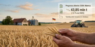 Niemcy - prognoza DRV 2026