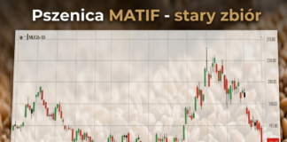 Pszenica na Matif na 18.04.2026