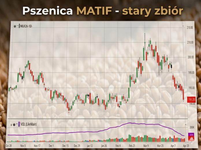 Pszenica na Matif na 18.04.2026