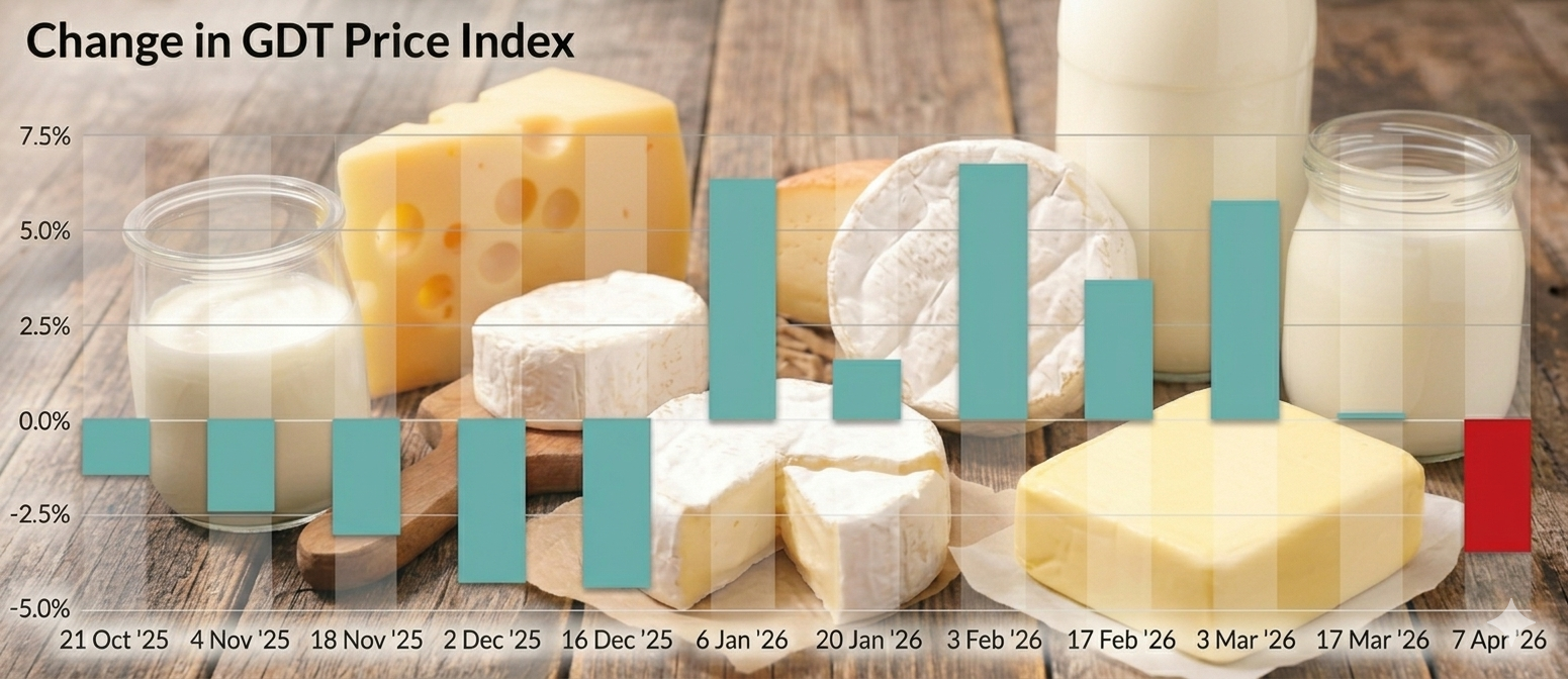Ceny mleka 2026: Kwietniowa sesja na GDT przyniosła korektę cen nabiału po imponujących wzrostach