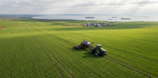 Pszenica - basen Morza Czarnego