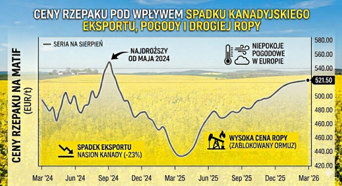 Ceny rzepaku rosną