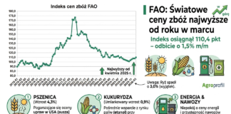 Ceny zbóż wzrosły w marcu 2026 - FAO