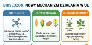 Bikslozon (Isoflex®) zatwierdzony w UE