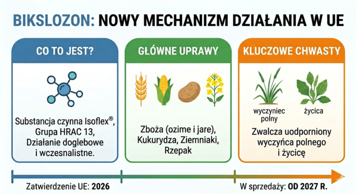 Bikslozon (Isoflex®) zatwierdzony w UE