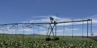 Deszczownia szpulowa vs. mostowa (pivot). Jaki rodzaj nawadniania sprawdzi się lepiej?