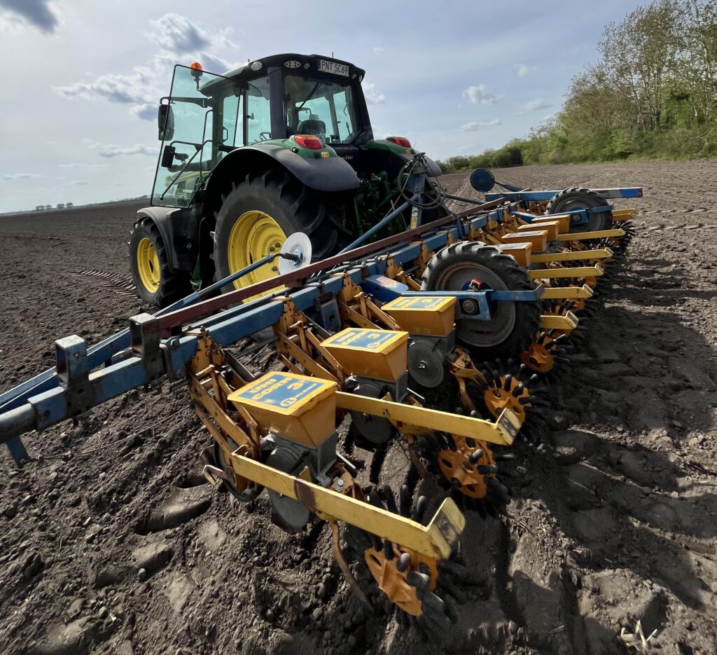 Siew buraka cukrowego – jak wykonać go precyzyjnie?