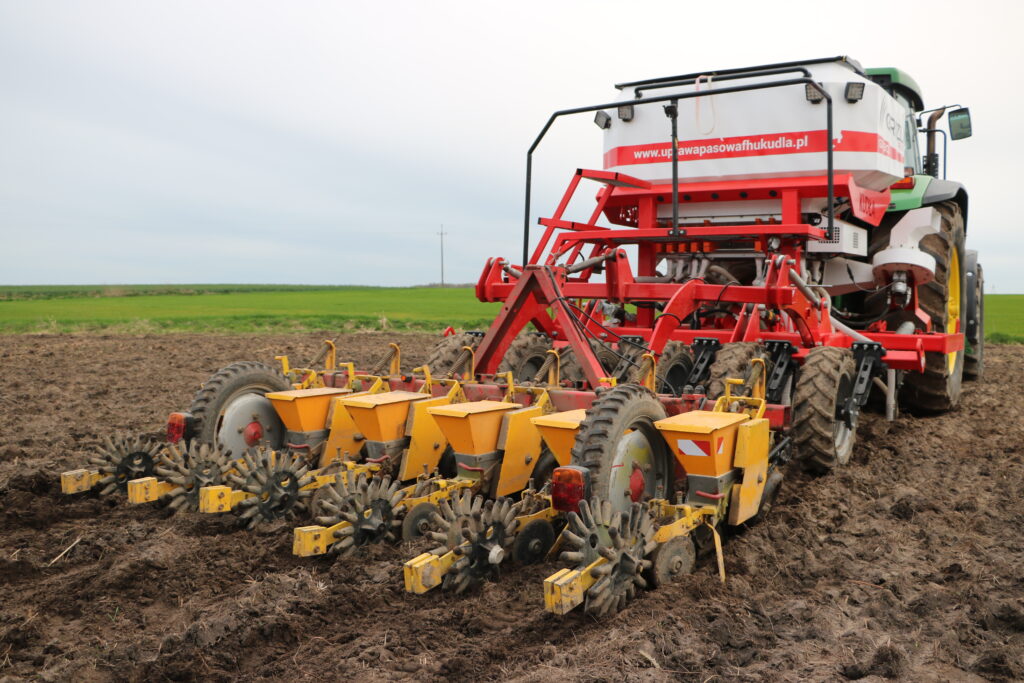 Burak cukrowy – jak zmieniały się technologie siewu? 6