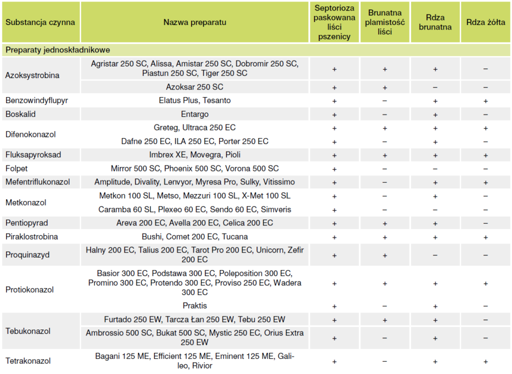 Liście zbóż jako „fabryka plonu” – dlaczego trzeba je chronić? 2