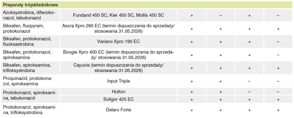 Liście zbóż jako „fabryka plonu” – dlaczego trzeba je chronić? 4