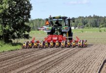 Siew buraka cukrowego – jak wykonać go precyzyjnie? Siew buraka cukrowego – jak wykonać go precyzyjnie?