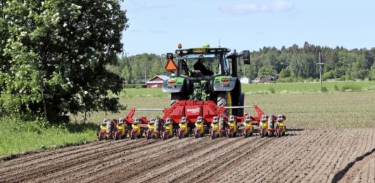 Siew buraka cukrowego – jak wykonać go precyzyjnie?