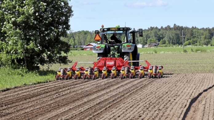 Siew buraka cukrowego – jak wykonać go precyzyjnie?