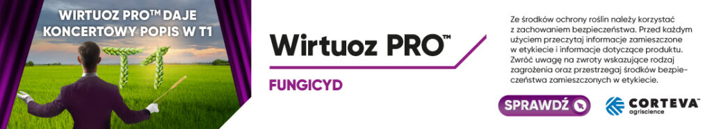 Liście zbóż jako „fabryka plonu” – dlaczego trzeba je chronić? 1