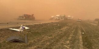 Zdjęcie: Texas Dps/Northwest Region/UPI/Shutterstock]