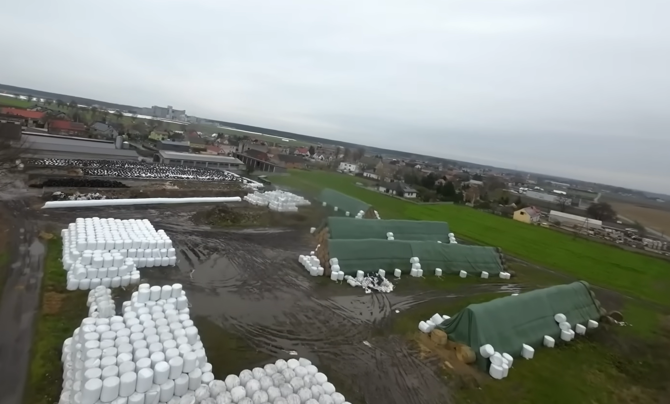 Mają 100 hektarów i ponad 300 sztuk bydła! Jak rozwija się gospodarstwo mleczne?