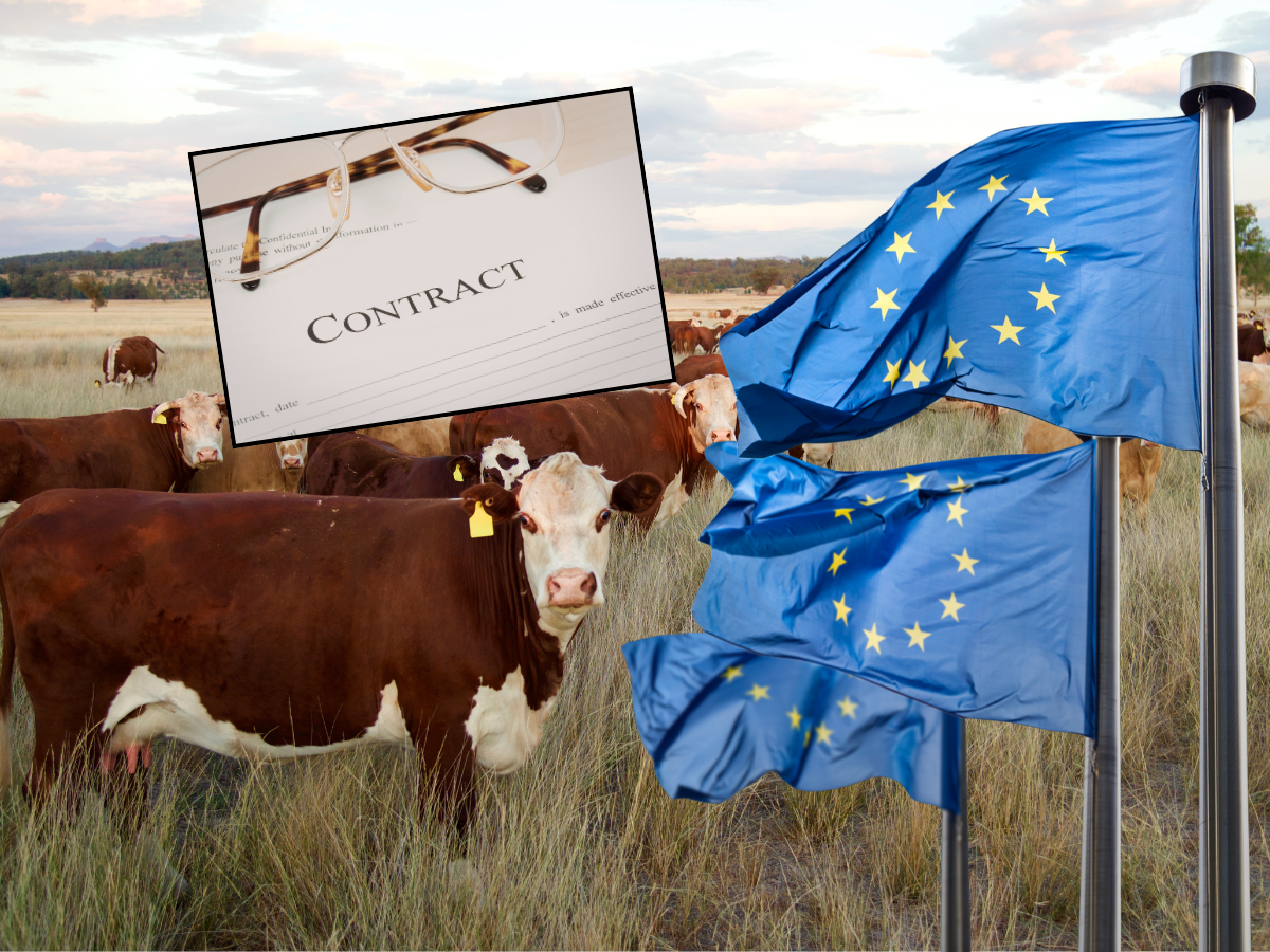 SKANDAL W BRUKSELI! Wyciekł „ukryty zapis” ws. Mercosur. MRiRW reaguje