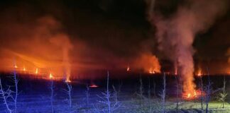 Ogniska w sadzie ochroną przed przymrozkiem