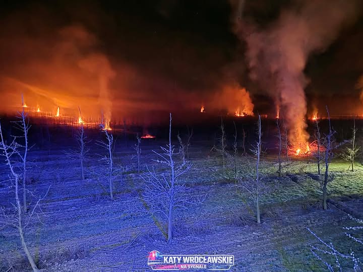 Straż wezwana do pożaru lasu- w rzeczywistości paliły się ogniska w sadzie