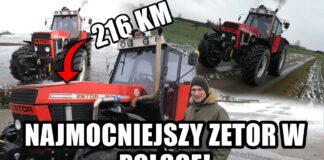 Zetor