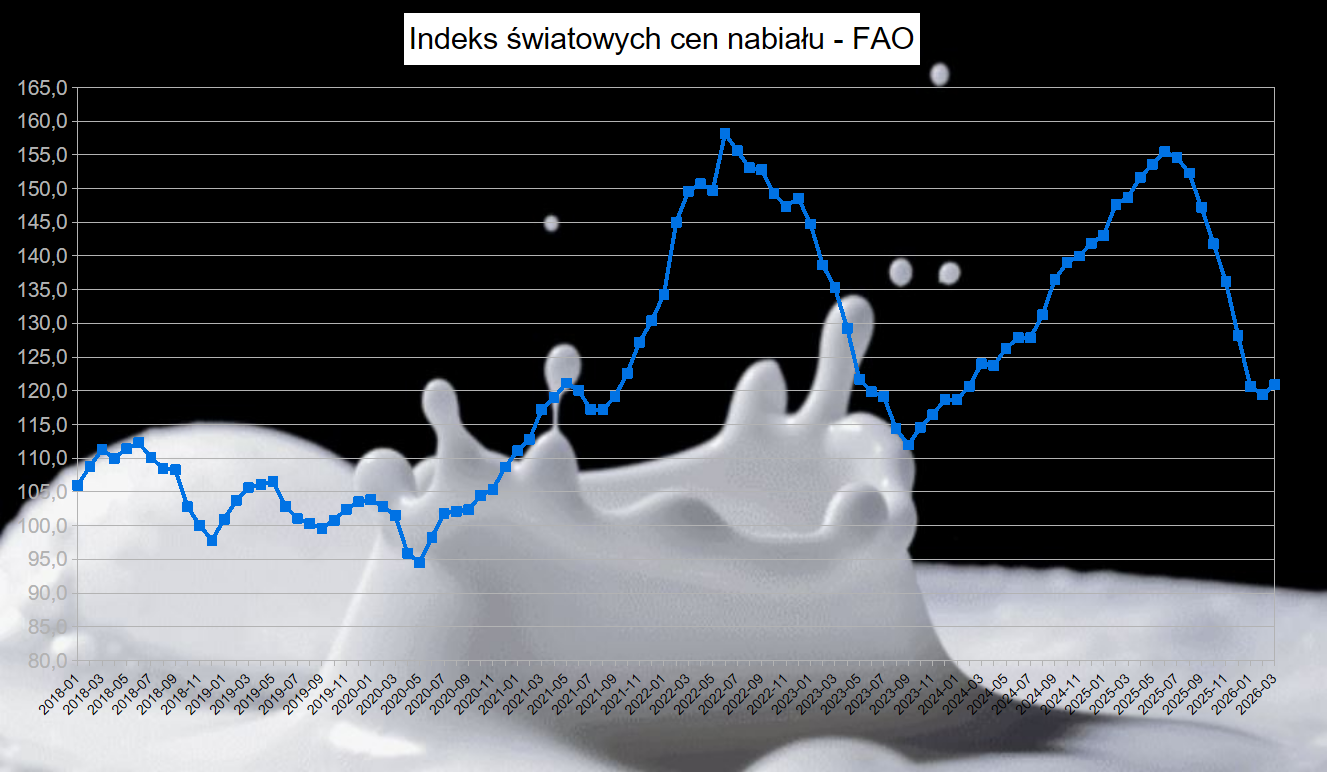 Ceny mleka 2026: Globalny rajd cen nabiału na GDT i słabszy złoty budują fundament pod odbicie