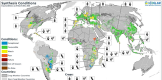 FAO - Kondycja światowych upraw - kwiecień 2026