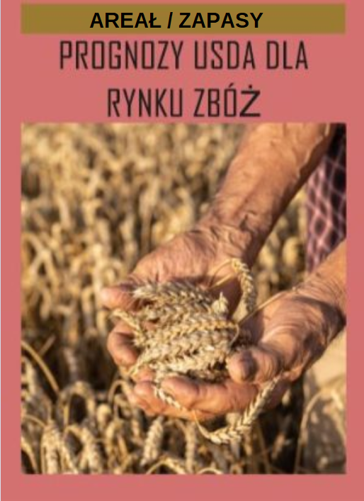Areał upraw zbożowych spadnie w USA na rzecz soi. Ceny zbóż zareagowały we wtorek wzrostem na najważniejszy raport USDA