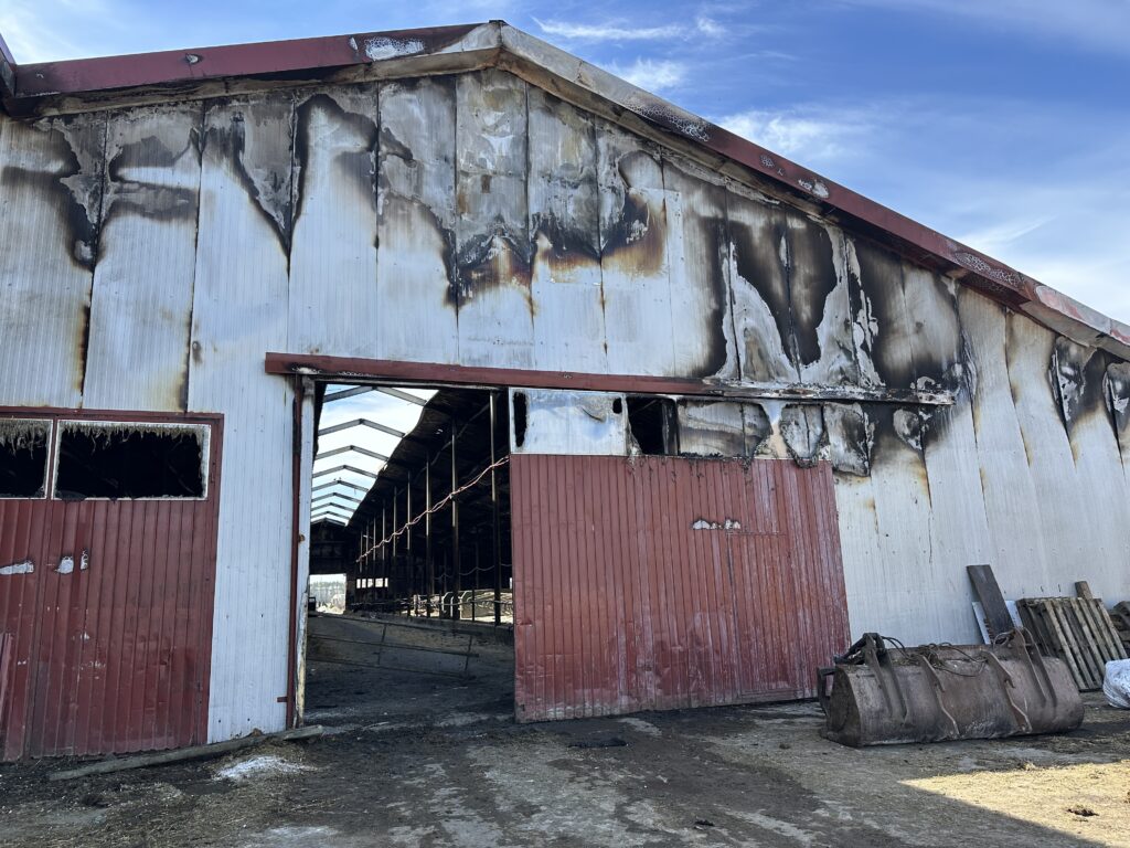 Pożar obory w Perlejewie. 30 lat hodowli zniszczone w kilkanaście minut