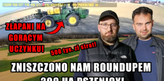 Wypalili gilfosatem ponad 200 ha pszenicy! Konflikt niosący za sobą pół miliona strat!
