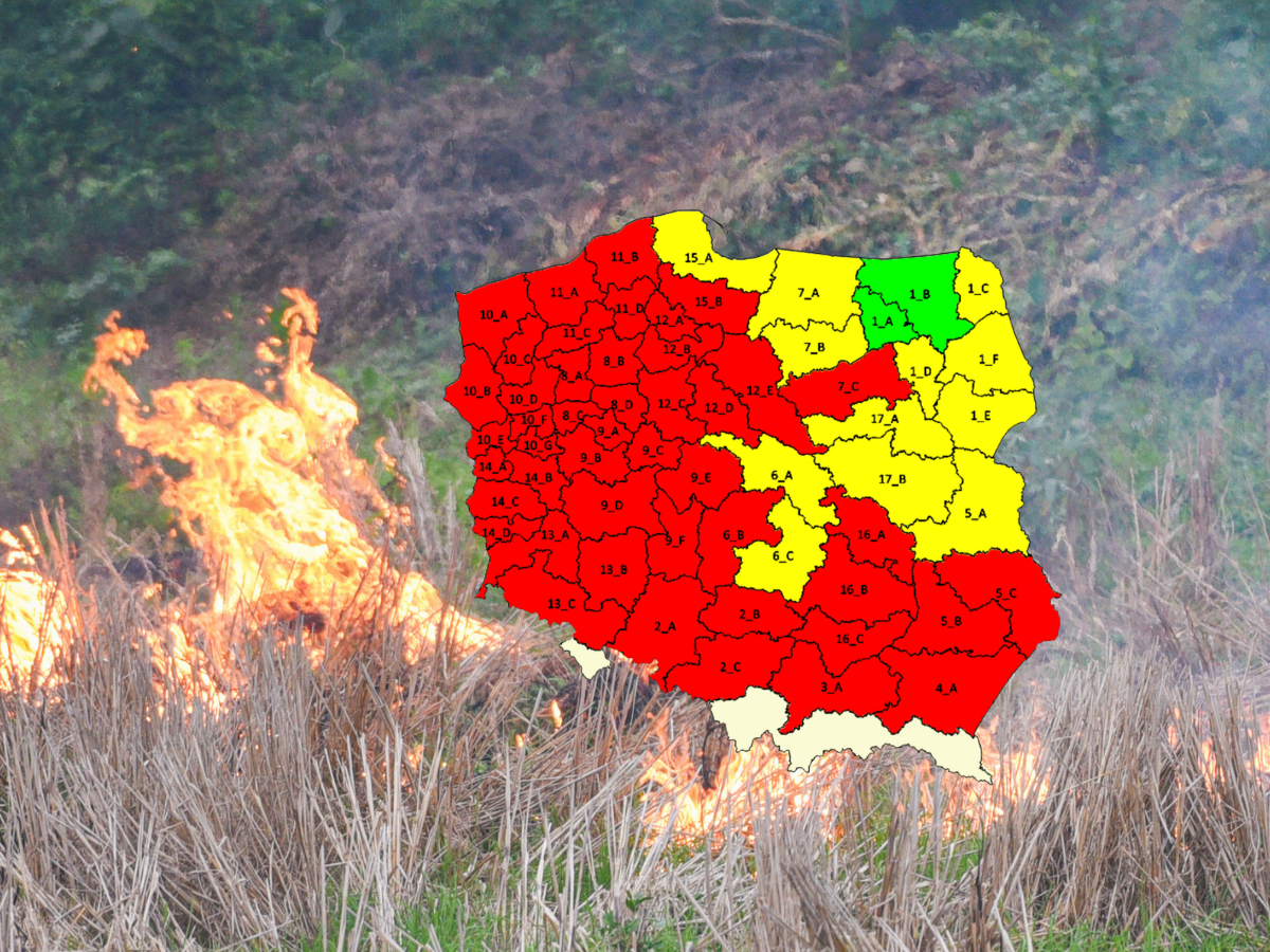 Polska w czerwonej strefie! Ponad 2000 pożarów od początku roku. Strażacy wydają pilne ostrzeżenia!