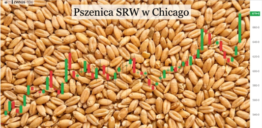 Pszenica w Chicago na dwuletnim szczycie