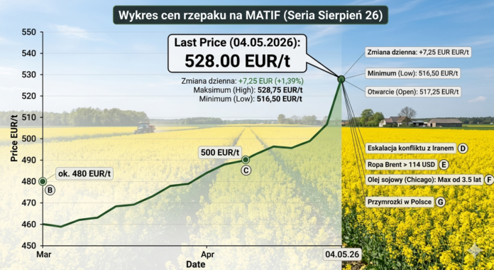 Cena rzepaku na Matif najwyżej od 2 lat