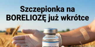 Szczepionka na boreliozę