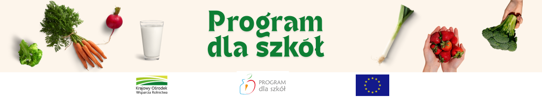 Program dla szkół