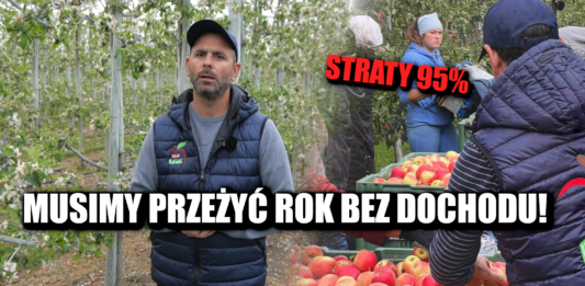 przymrozki w sadach