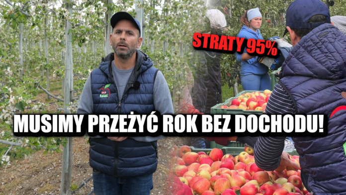 przymrozki w sadach
