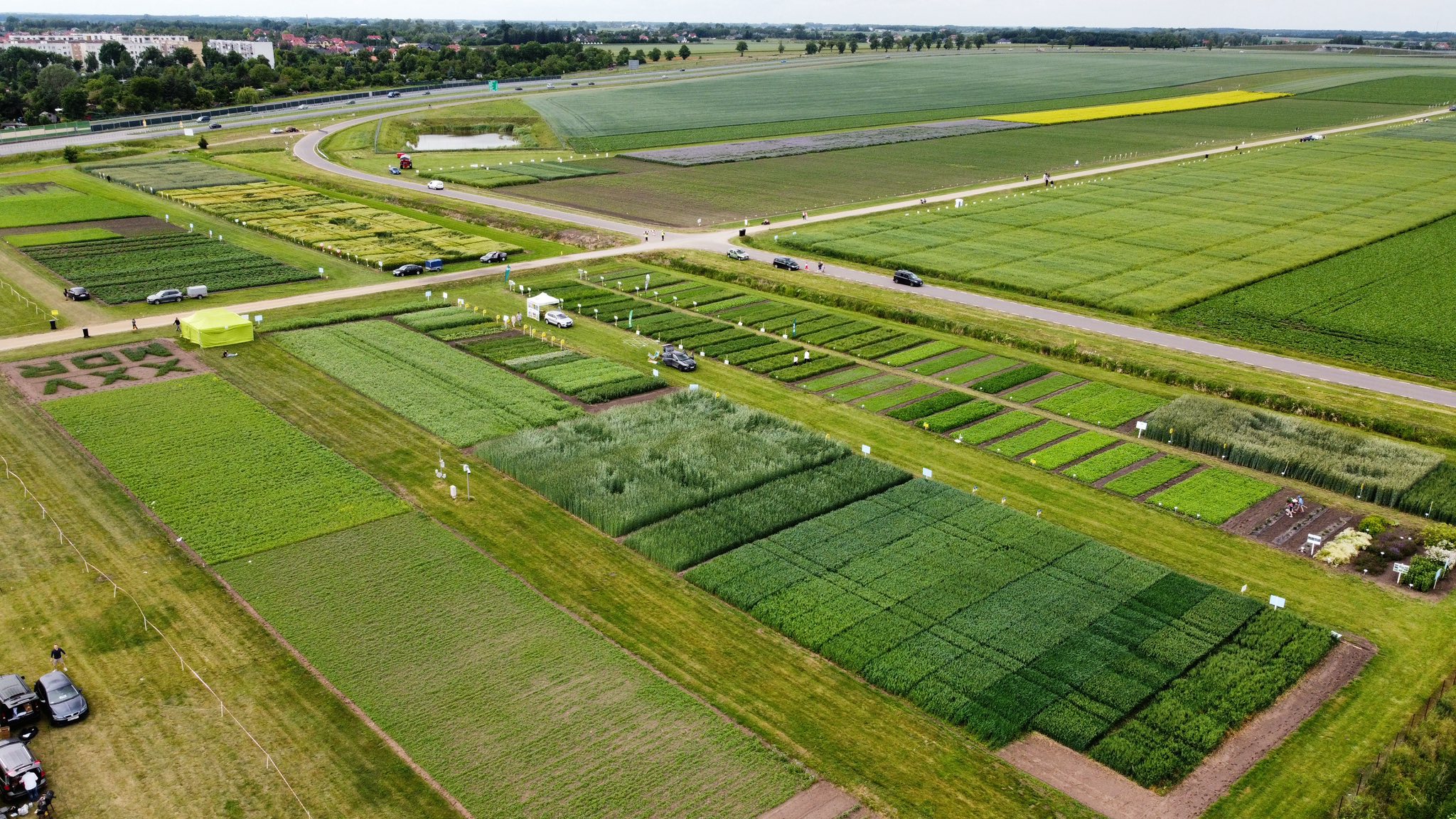 XXVI Mazowieckie Dni Rolnictwa 2026 w Płońsku – program, atrakcje, dojazd