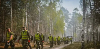 Puszcza Solska - twa dogaszanie pożaru
